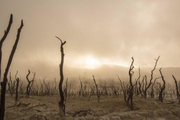 Featured: Federated Learning Is Solving Healthcare's Biggest Privacy Problem: How 23 Hospitals Trained AI Models Without Sharing a Single Patient Record