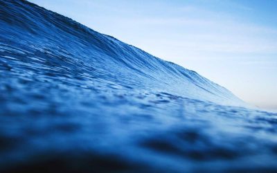 Featured: AI Model Compression Techniques That Cut Inference Costs by 80%: What Quantization, Pruning, and Knowledge Distillation Actually Do to Your Models