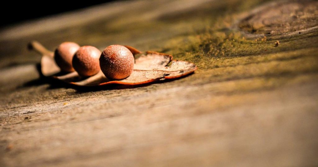 The Ultimate Guide to Artificial Intelligence: Unraveling the Mysteries and Opportunities