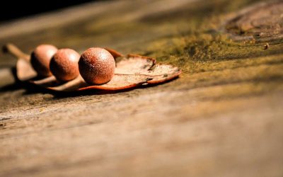 Featured: The Ultimate Guide to Artificial Intelligence: Unraveling the Mysteries and Opportunities