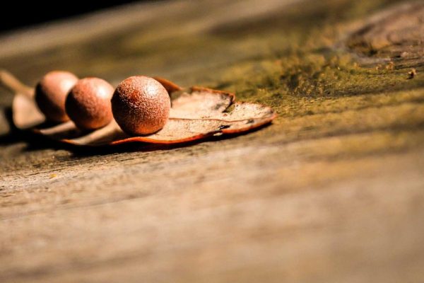 Featured: The Ultimate Guide to Artificial Intelligence: Unraveling the Mysteries and Opportunities