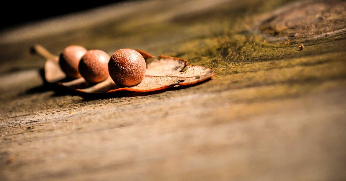 Featured: The Ultimate Guide to Artificial Intelligence: Unraveling the Mysteries and Opportunities