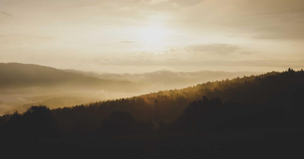 I Tested 6 AI Image Generators on the Same Product Photo Brief – Here’s What $127 Actually Bought Me