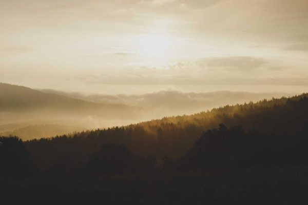 Featured: I Tested 6 AI Image Generators on the Same Product Photo Brief - Here's What $127 Actually Bought Me