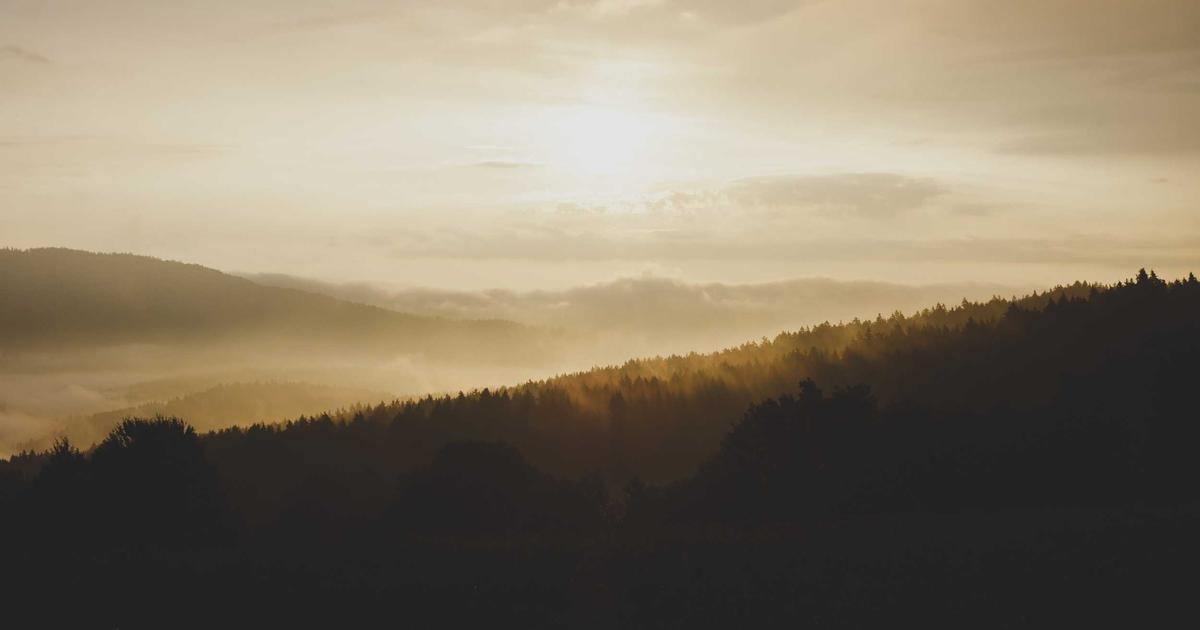 Featured: I Tested 6 AI Image Generators on the Same Product Photo Brief - Here's What $127 Actually Bought Me