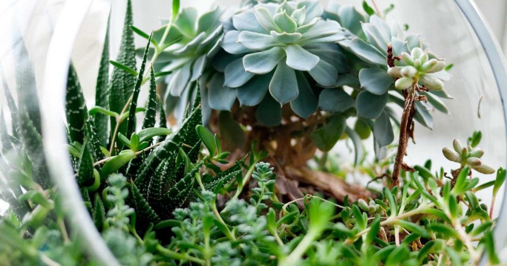 Fine-Tuning GPT Models on Your Own Data: What 47 Hours and $230 Taught Me About Custom AI