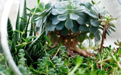 Featured: Fine-Tuning GPT Models on Your Own Data: What 47 Hours and $230 Taught Me About Custom AI