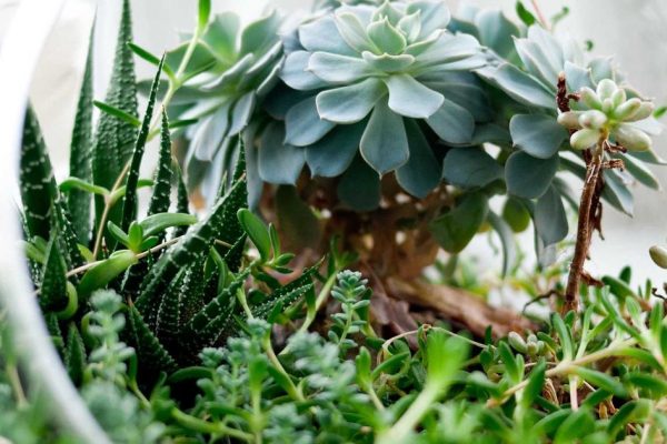 Featured: Fine-Tuning GPT Models on Your Own Data: What 47 Hours and $230 Taught Me About Custom AI