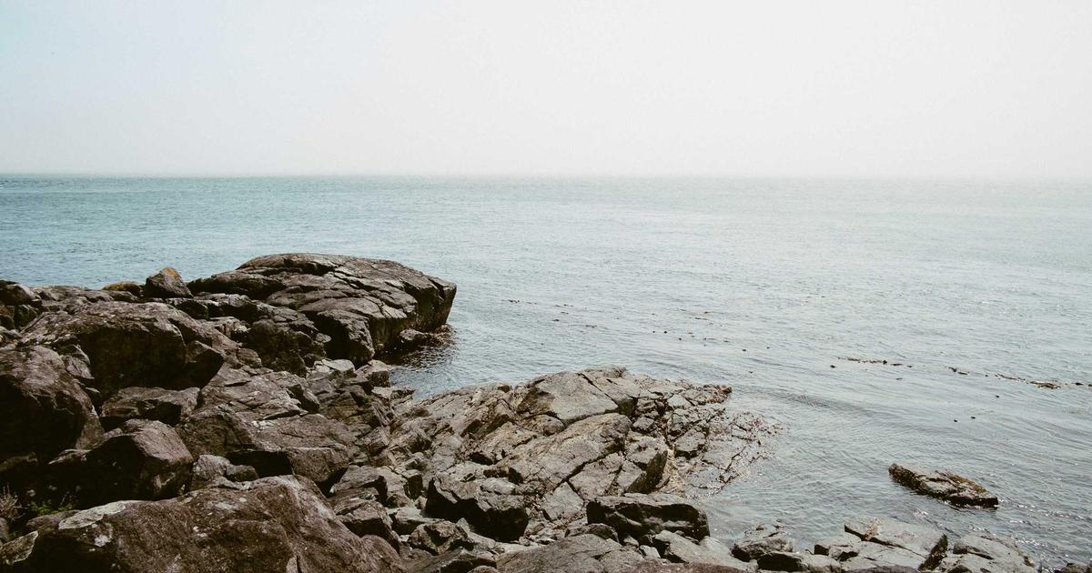 Featured: Why Enterprise AI Projects Have a 67% Failure Rate: Lessons from 14 Companies That Burned Through $50M+ (And the 3 That Actually Shipped)